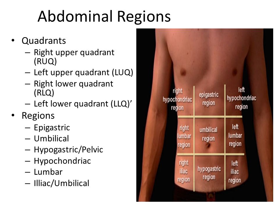 Alimentos antiinflamatorios abdomen